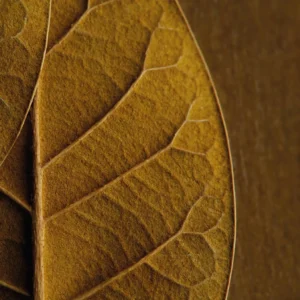 RELX Infinity2 Pod-Classic Tobacco