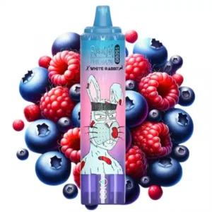 Blueberry Rasberry – RandM TORNADO & White Rabbit – 15000 puffs