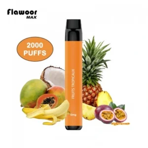 Vape Descartável – Flawoor Max – Fruits Tropicaux