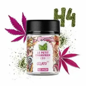 H4CBD Gelato 5gr 40% – Le Petit Chanvrier
